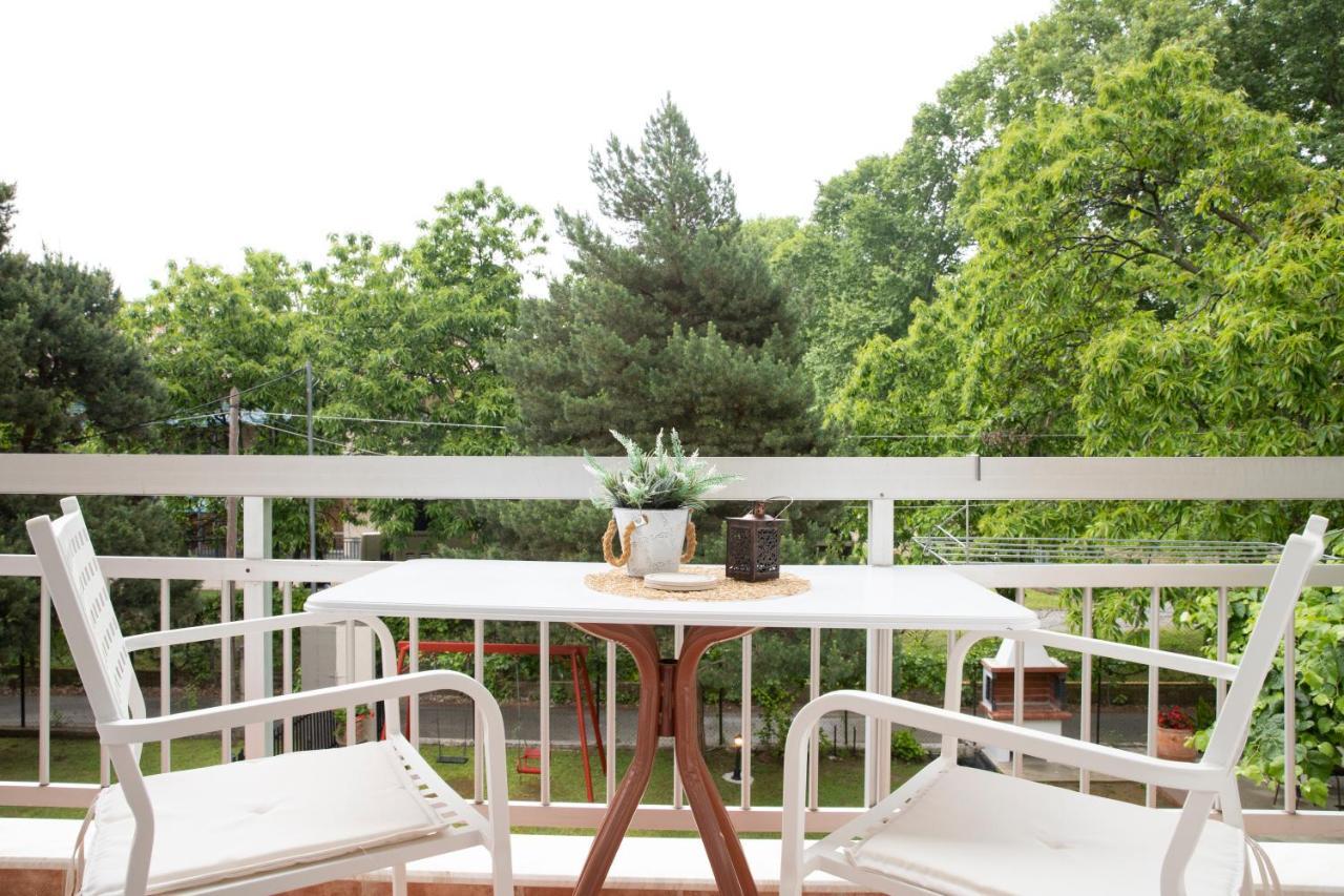Evaggelia Rental Apartments Skotina Rum bild